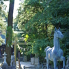 相馬中村神社1