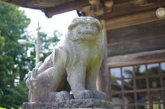 ザ・普通