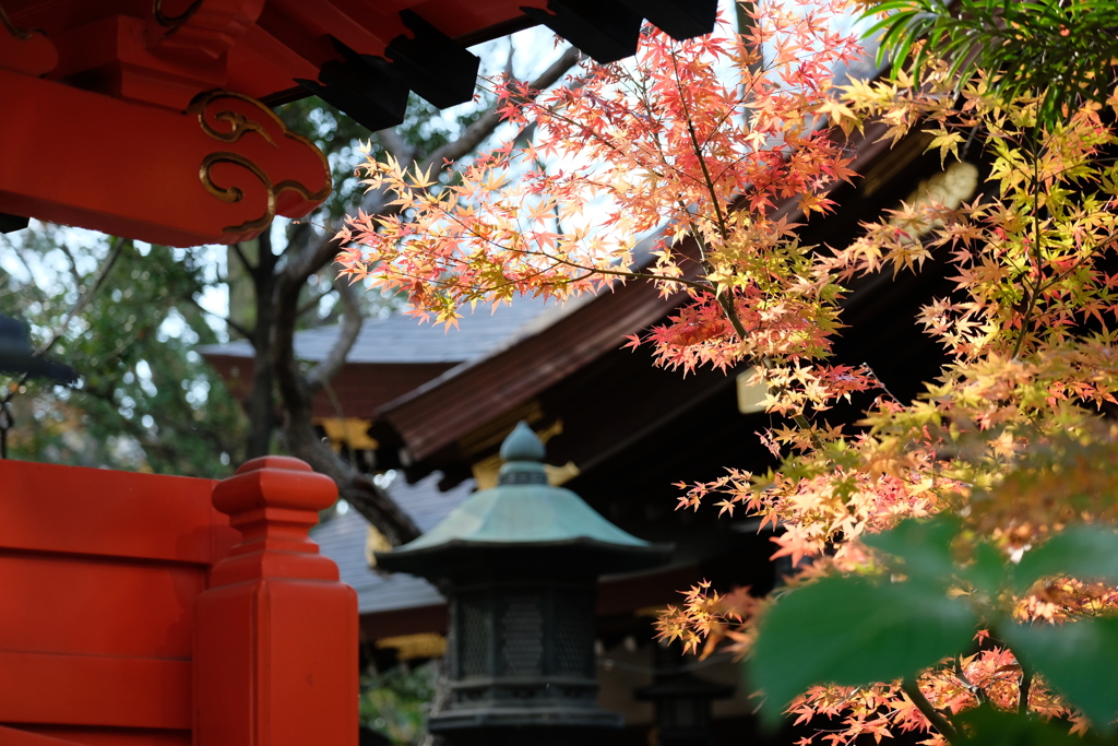 愛宕神社２