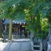 相馬中村神社２
