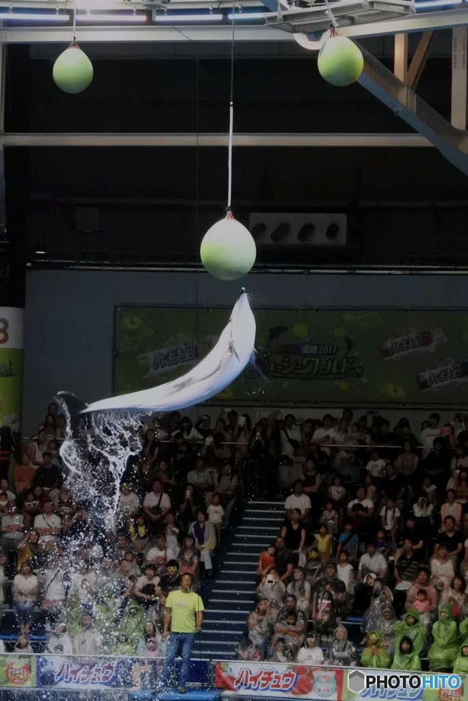 JUMP！ ②