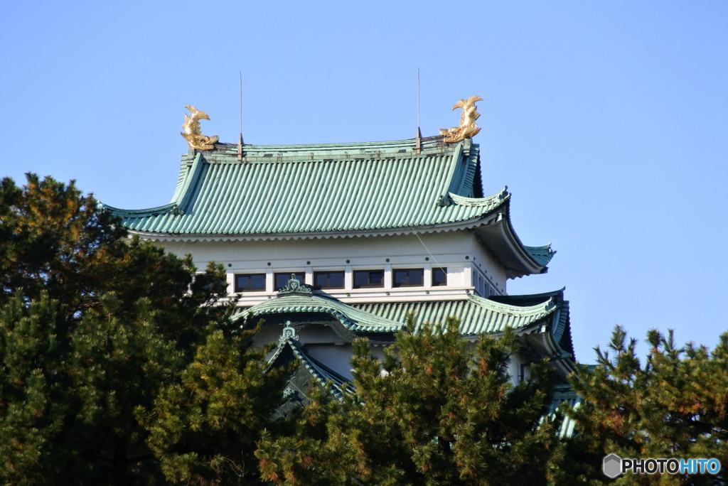 鯱