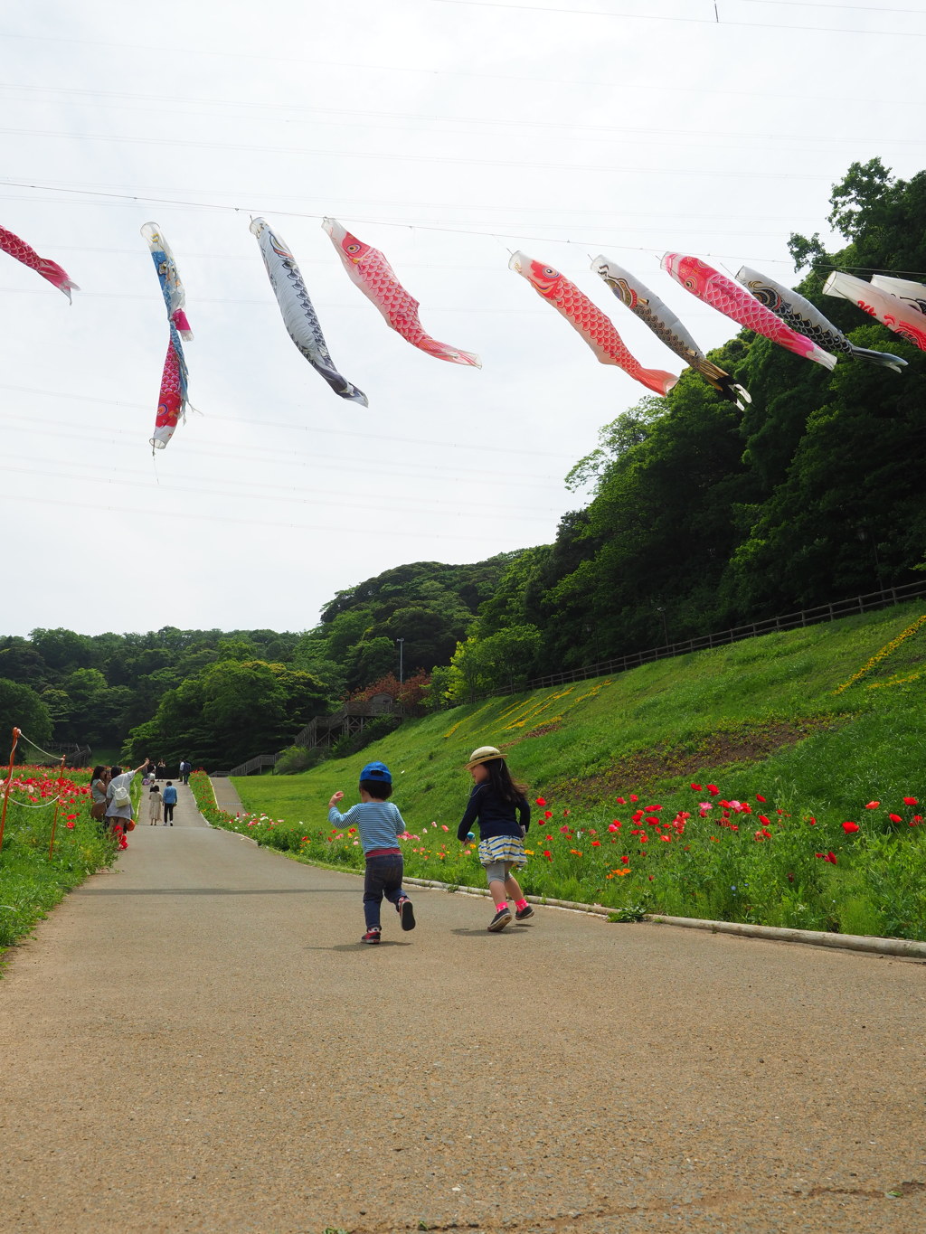 花と鯉のぼりと子供達