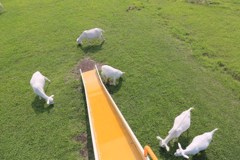 月廻り公園１