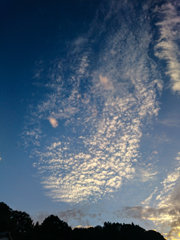 秋の空