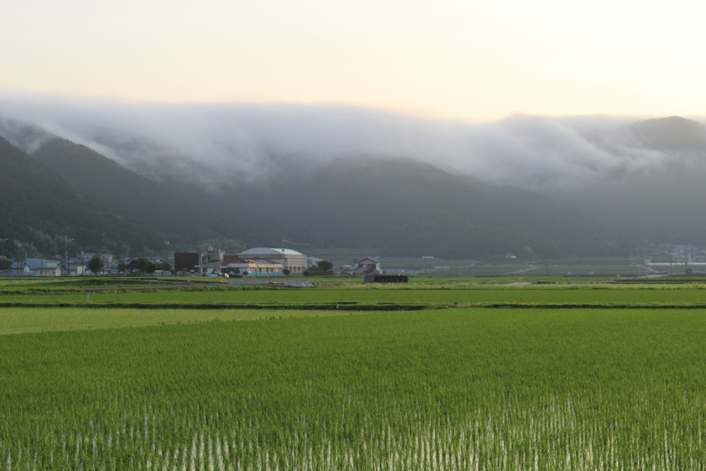 山から下る雲