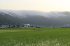 山から下る雲