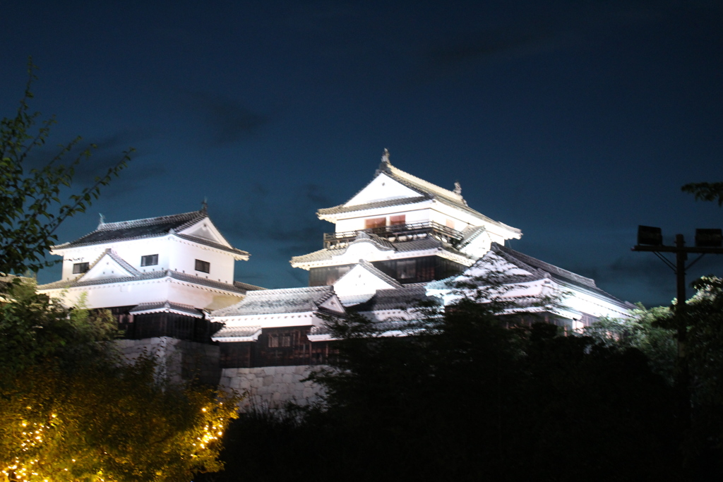 夜の松山城