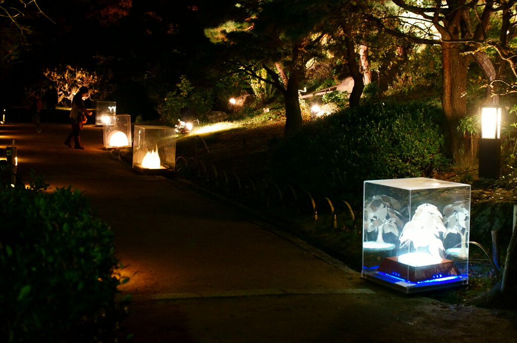 白鳥庭園　夜VER