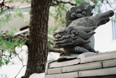 焼き物の狛犬　吽形