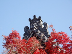 永観堂（洛東）