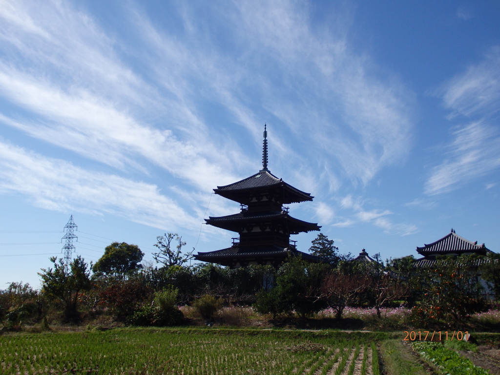 秋空の法起寺