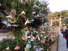 松陰神社のおみくじ