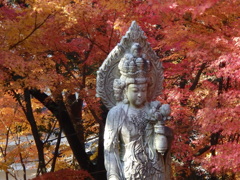 永観堂　（洛東）