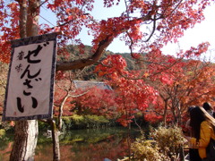 永観堂　茶所より