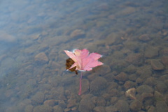 LRG_DSC00442
