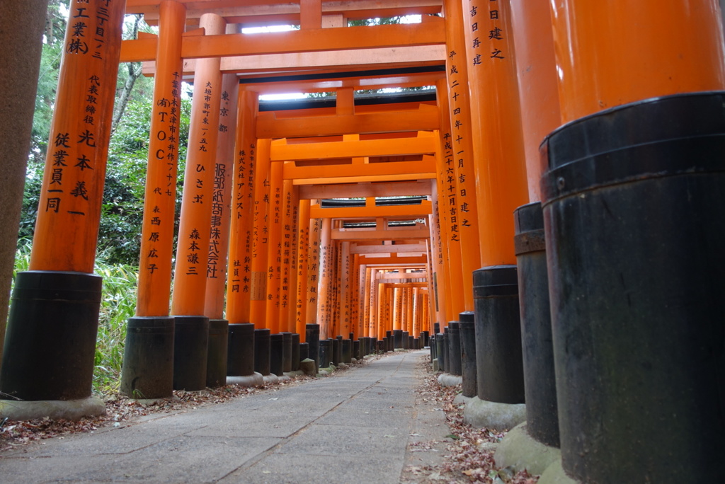 量にびっくり