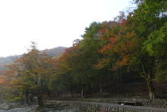 嵐山の紅葉