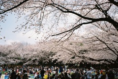 コロナ前の風景