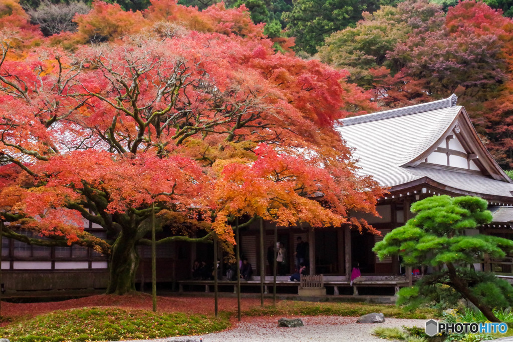 400年の時を経て