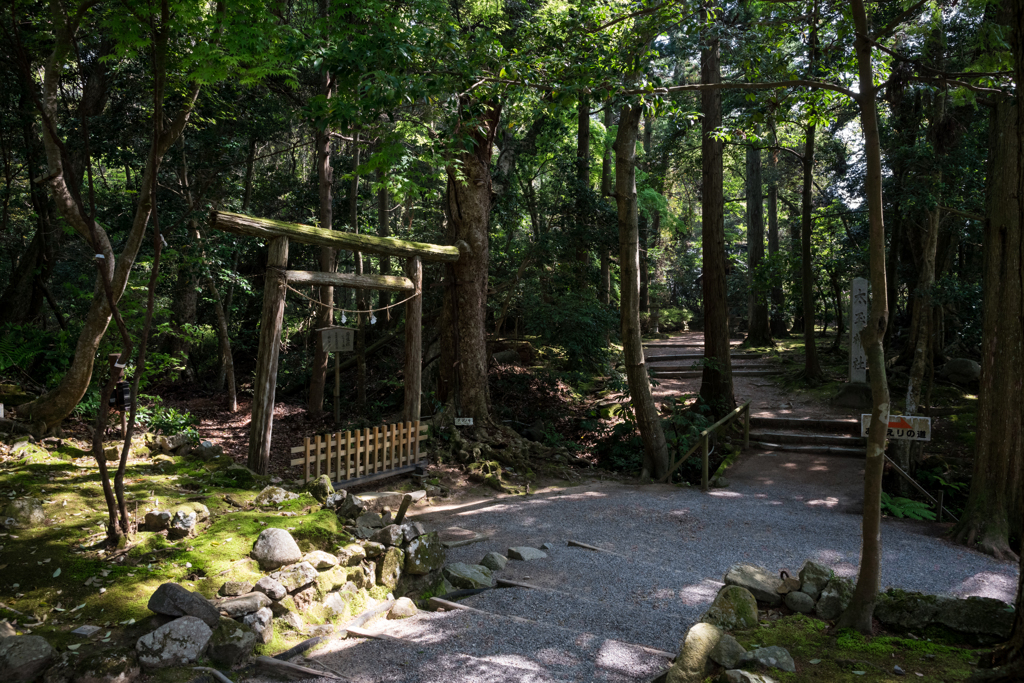 鎮守の森