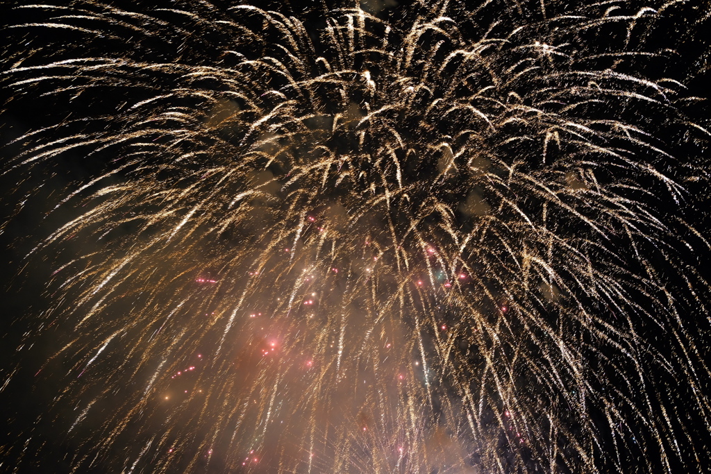 狭山七夕祭 人生初の花火撮影