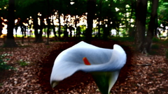 失敗写真だけど、なんか好きな写真