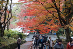 京都 毘沙門堂の紅葉