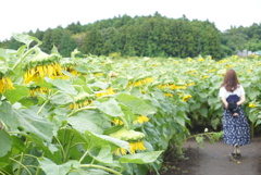 夏の終わりがやってきた