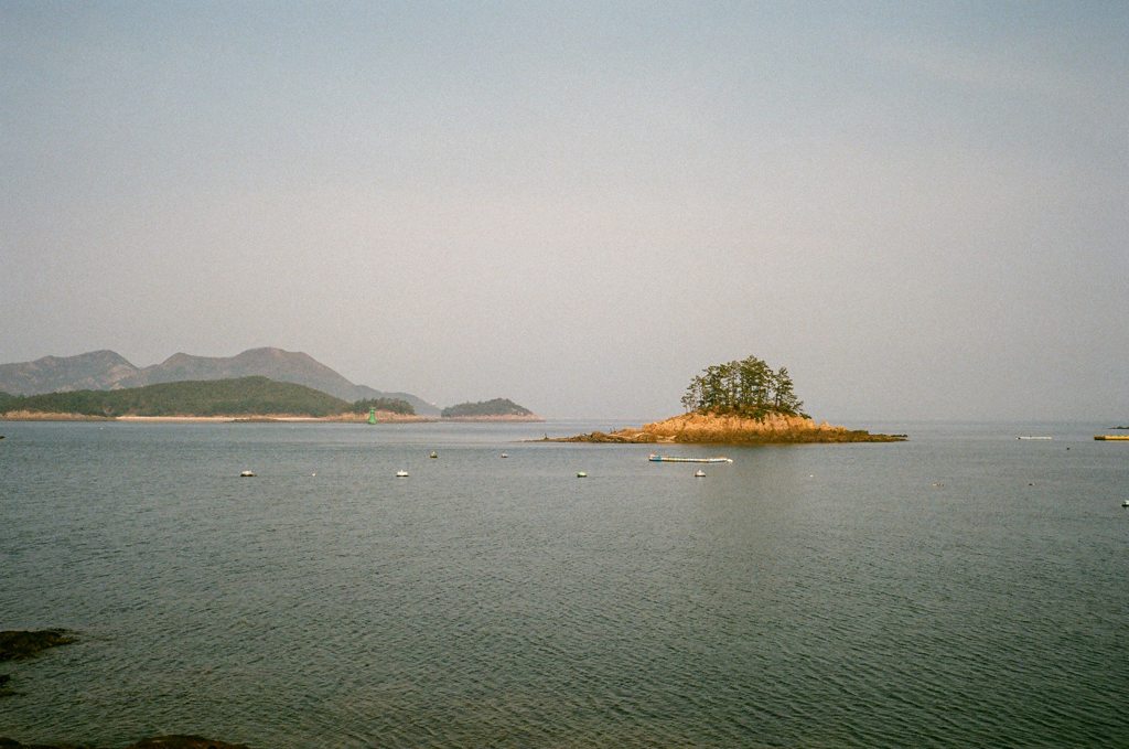 A pinetree island, west coast Korea