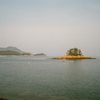 A pinetree island, west coast Korea