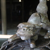 永平寺-3