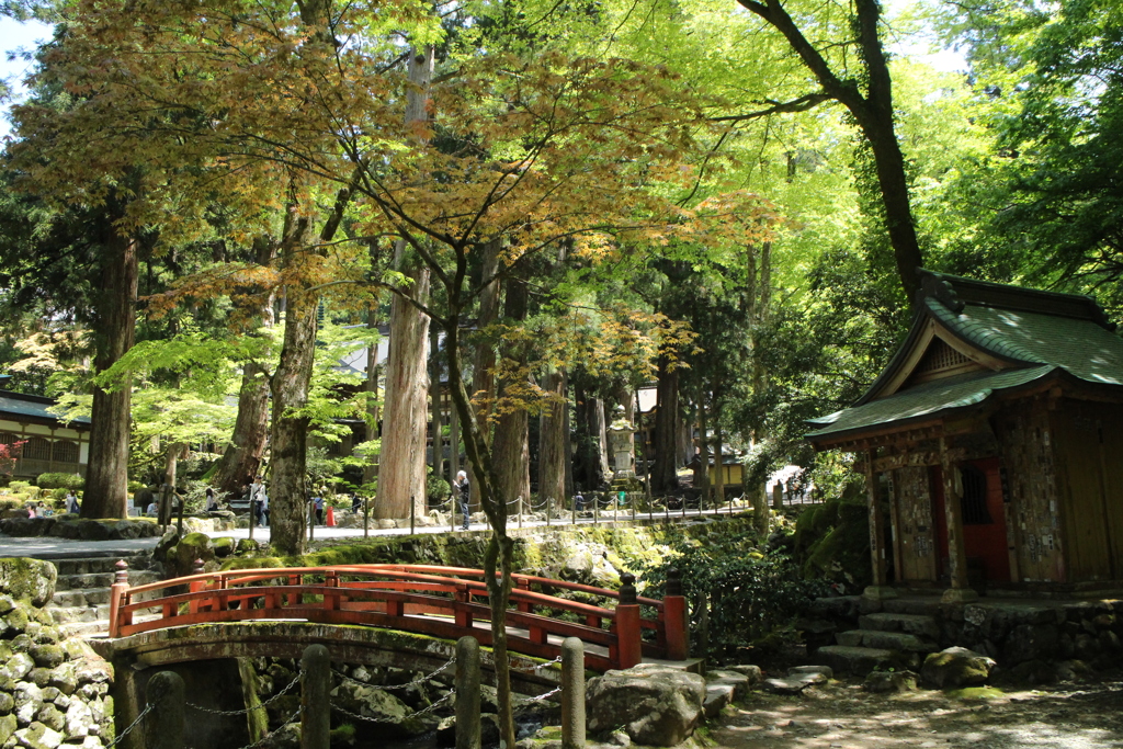 永平寺２回目-2