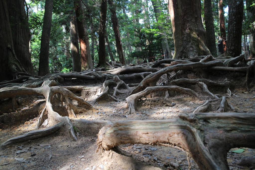鞍馬寺-4
