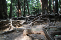 鞍馬寺-4