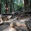 鞍馬寺-4