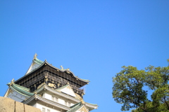 初カメラ-3