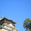 初カメラ-3