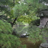 京都御所-3