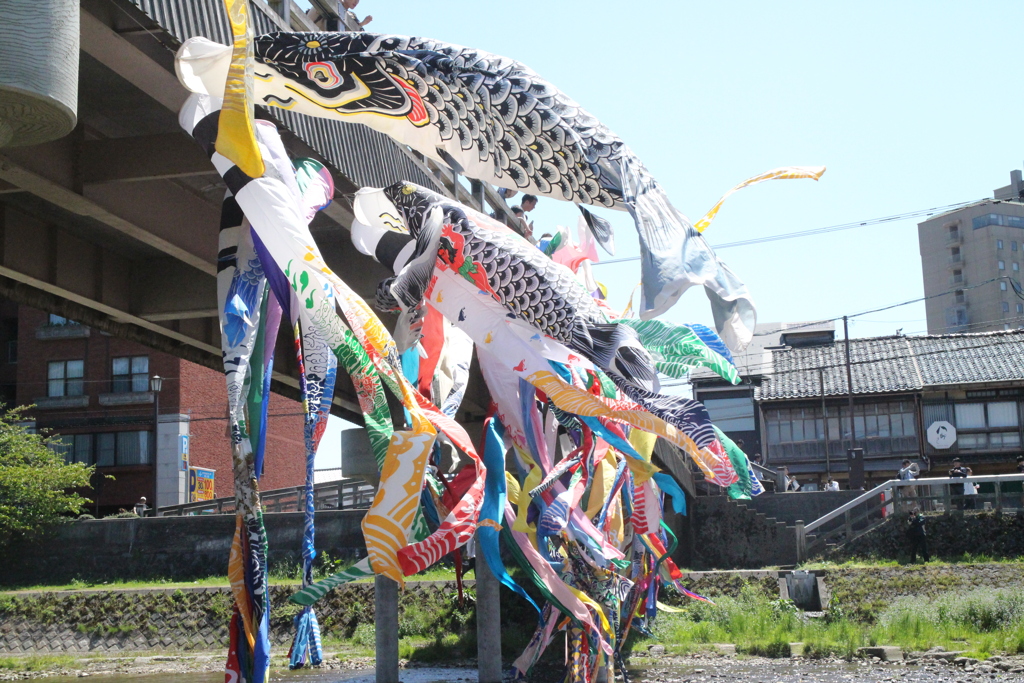 浅野川-1