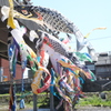 浅野川-1