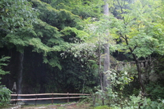 山中温泉-3