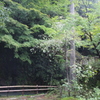 山中温泉-3