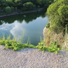 初カメラ-4
