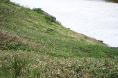 立山連峰-4