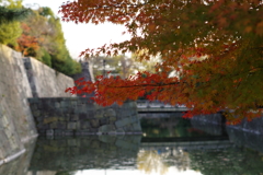 紅葉と堀