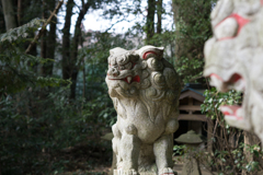 Guardian lion-dog at Shinto shrine