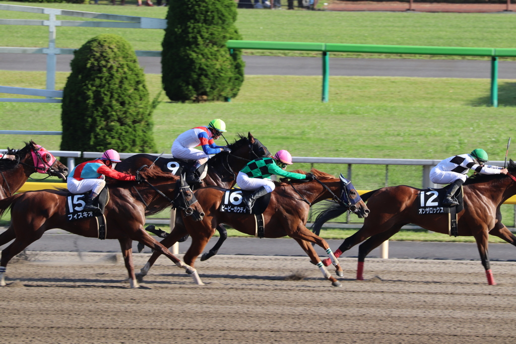 ビービーガウディ&岩田康誠(2東京6)12R