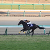 キタサンブラック最後の直線(5中山8)11R