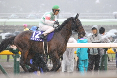 秋天本馬場入場 ステファノス&戸崎圭太(4東京9)11R